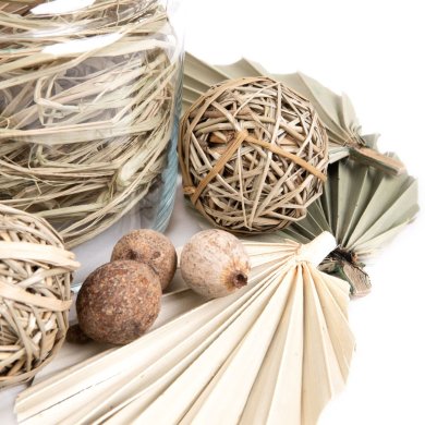 Декоративні сушені рослини Homla ROQUE Бежевий 218808 фото - 6