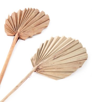 Ароматический диффузор Homla ROQUE White Musk Белый 218806 фото - 2