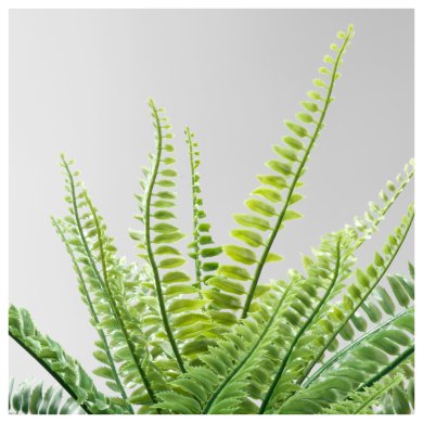 FEJKA - 2 IKEA FEJKA (ИКЕА ФЕЙКА) 30433945 фото - 2