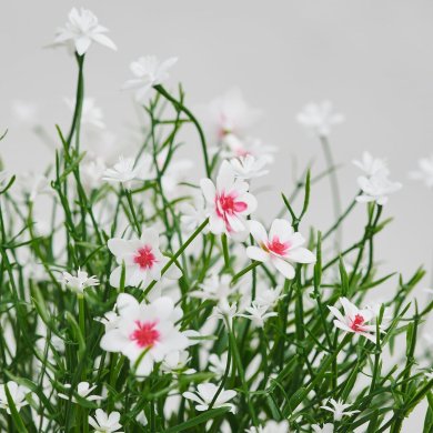 IKEA FEJKA (ИКЕА ФАЛЬШИВЫЙ) 30617690 фото - 3