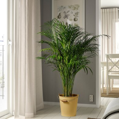 IKEA AKERBAR (ИКЕА АКЕРБАР) 30561320 фото - 4