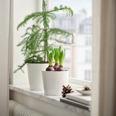 IKEA HYACINTHUS (ИКЕА ГИАЦИНТ) 40561697 фото - 2