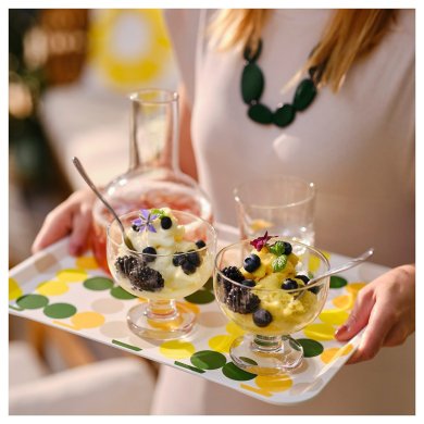 IKEA BROGGAN (ИКЕА БРОГГАН) 30570485 фото - 2