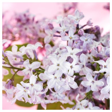 IKEA MORKULLA (ИКЕА МОРКУЛЛА) 60619598 фото - 3