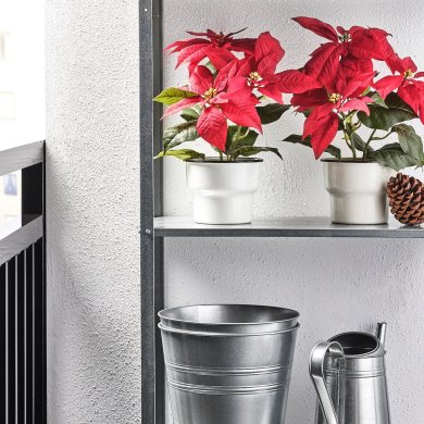 IKEA VINTERFINT (ИКЕА ВИНТЕРФИНТ) 90586916 фото - 3