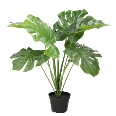 Искусственное растение в горшке Homla TROPICAL ZONE 90 см | Зеленый / Черный - 2 Искусственное растение в горшке Homla TROPICAL ZONE 90 см | Зеленый / Черный 164637 фото - 2