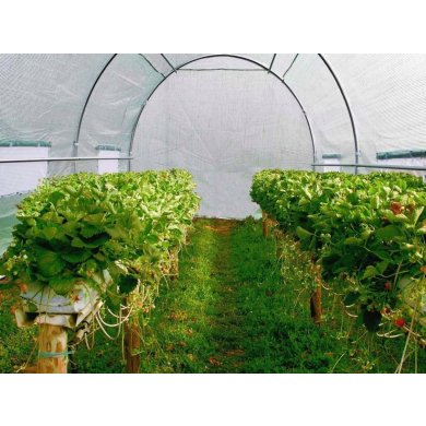 Парник теплиця Kontrast 9 м² 4,5x2х2 м Зелений - 8 Парник теплиця Kontrast 9 м² 4,5x2х2 м Зелений 5.90.20243 фото - 8