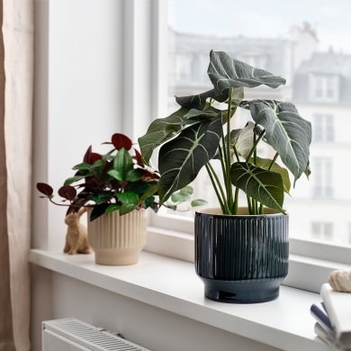 IKEA HONUNGSPALM (ИКЕА ХОНУНГСПАЛЬМ) 90641343 фото - 5