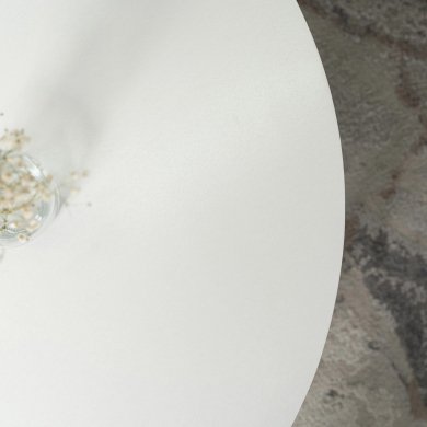 Журнальный стол Mebel Elit AGNES MAX Белый - 7 Журнальный стол Mebel Elit AGNES MAX Белый ME.MAXALICE/B/B/L фото - 7