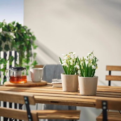 IKEA FEJKA (ИКЕА ФАЛЬШИВЫЙ) 60613351 фото - 3