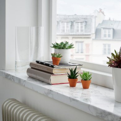 SUCCULENT - 2 IKEA SUCCULENT (ИКЕА СУККУЛЕНТНЫЙ) 20543223 фото - 2