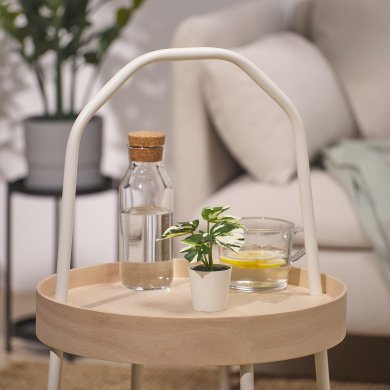 IKEA FEJKA (ИКЕА ФЕЙКА) 80593205 фото - 3