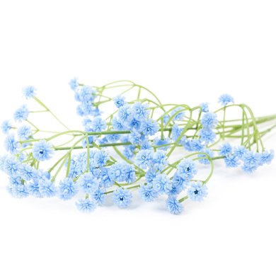 Искусственная ветвь Homla CLADEL 63 см | Зеленый / Голубой - 2 Искусственная ветвь Homla CLADEL 63 см | Зеленый / Голубой 213013 фото - 2