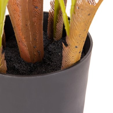Штучна рослина в горщику Homla TROPICAL ZONE 130 см | Чорний / Зелений - 5 Штучна рослина в горщику Homla TROPICAL ZONE 130 см | Чорний / Зелений 164631 фото - 5