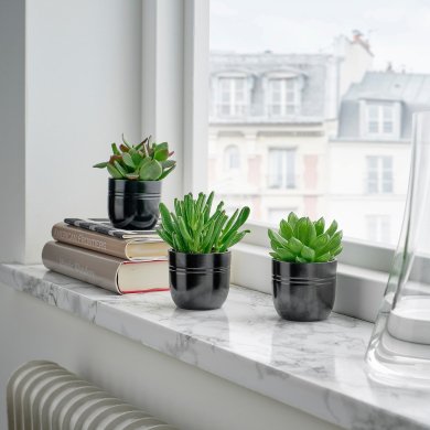 IKEA SUCCULENT (ИКЕА СУККУЛЕНТНЫЙ) 80564444 фото - 2