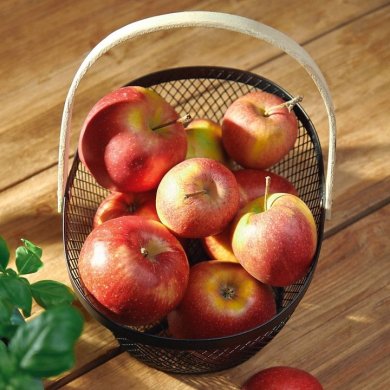 Корзина Homla FORRES | Черный / Дерево - 4 Корзина Homla FORRES | Черный / Дерево 164402 фото - 4