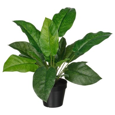 IKEA FEJKA (ИКЕА ФАЛЬШИВЫЙ) 50600863