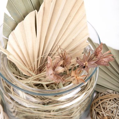 Декоративні сушені рослини Homla ROQUE Бежевий 218808 фото - 5