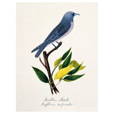 IKEA PJATTERYD (ИКЕА ПЬЯТТЕРИД) 50618783