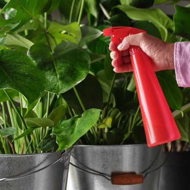 IKEA TOMAT (ИКЕА ПОМИДОРЫ) 10611991 фото - 2