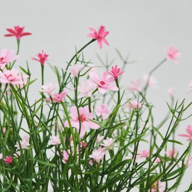 IKEA FEJKA (ИКЕА ФАЛЬШИВЫЙ) 90619846 фото - 3