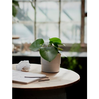 IKEA Кашпо NYPON (ИКЕА НАЙПОН) 40395617 фото - 3