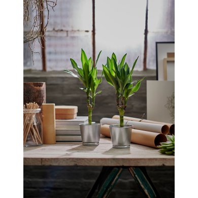 IKEA Кашпо BINTJE (ИКЕА БИНТЬЕ) 80334127 фото - 10