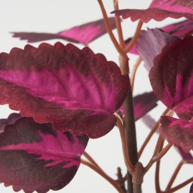 FEJKA - 4 IKEA FEJKA (ИКЕА ФЕЙКА) 50582500 фото - 4