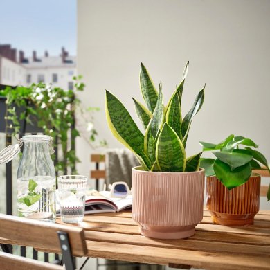 IKEA HONUNGSPALM (ИКЕА ХОНУНГСПАЛМ) 90595794 фото - 5