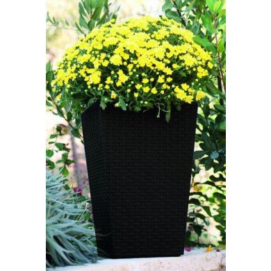 Горщик для рослин Keter Rattan Planter M | Антрацит 228974-1 фото - 2