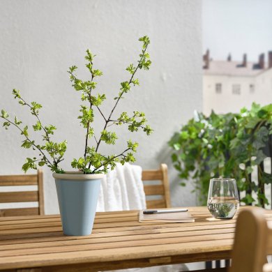 IKEA OLJEPALM (ИКЕА ОЛЬЕПАЛЬМ) 60567349 фото - 3