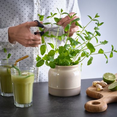 BRUGDHAJ - 8 IKEA BRUGDHAJ (ИКЕА БРУГДХАЙ) 30596169 фото - 8