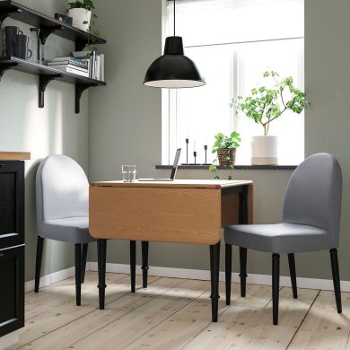 IKEA DANDERYD / DANDERYD (ИКЕА ДАНДЕРИД/ДАНДЕРИД) 09483937 фото - 2
