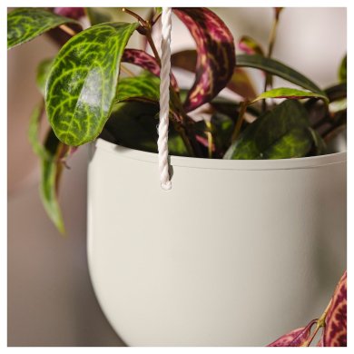 IKEA DAKSJUS (ИКЕА ДАКСИУС) 20568888 фото - 2