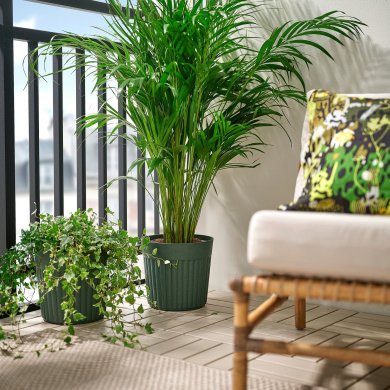 IKEA FRAKENVAXT (ИКЕА ФРАКЕНВАКСТ) 20610873 фото - 3