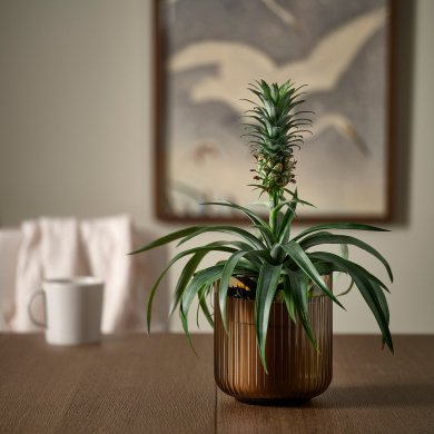 IKEA GRADVIS (ИКЕА ГРАДВИС) 40623290 фото - 2