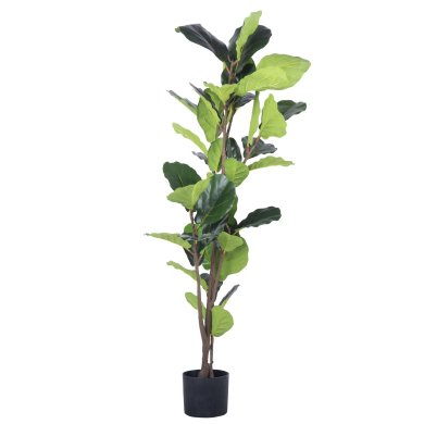 Штучна рослина в горщику Homla TROPICAL ZONE 125см | Чорний / Зелений - 3 Штучна рослина в горщику Homla TROPICAL ZONE 125см | Чорний / Зелений 164633 фото - 3