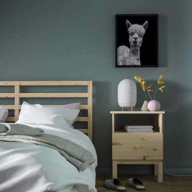 IKEA плакат BILD (ИКЕА БИЛЬД) 50442067 фото - 2