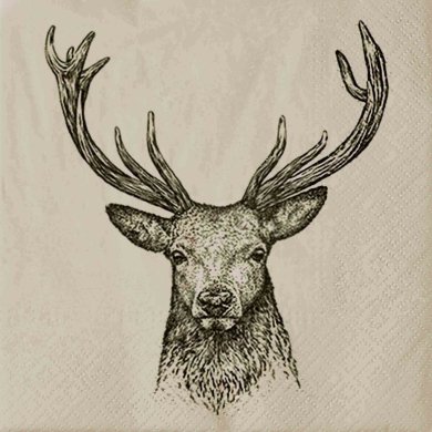 Серветки Homla WE CARE DEER 20 шт | Бежевий / Принт 163894