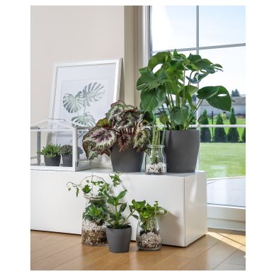 PERSILLADE - 9 IKEA PERSILLADE (ИКЕА ПЕРСИЛЛАДА) 10346765 фото - 9