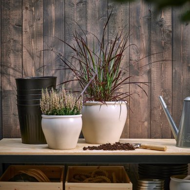 IKEA PENNISETUM (ИКЕА ПЕННИСЕТУМ) 60592382 фото - 4