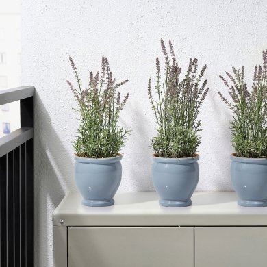 TRUMPETBUSKE - 4 IKEA TRUMPETBUSKE (ИКЕА ТРУМПЕТБУСК) 90563793 фото - 4