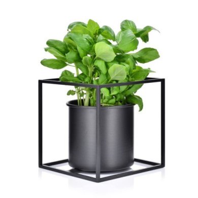Подставка для зелени Duka Orter | Черный 1218353 фото - 2