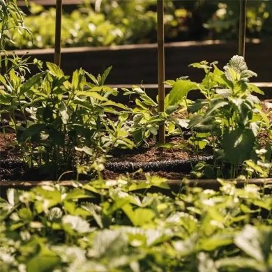 Крапельний шланг для поливу Garden Line 15 м Чорний LAR4143 фото - 5