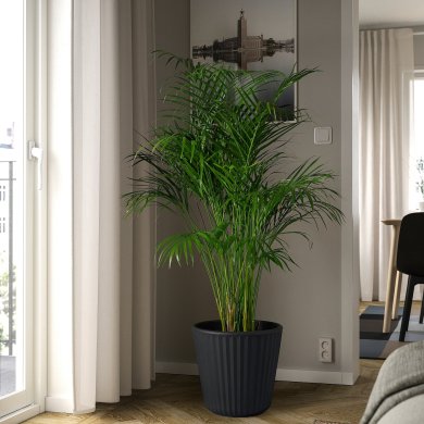 IKEA BJORNBAMBU (ИКЕА Бьорнбамбу) 20561293 фото - 3