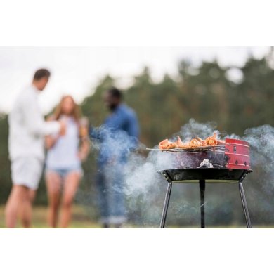 Угольный гриль Garden Line BBQ5276 Черный BBQ5276 фото - 7