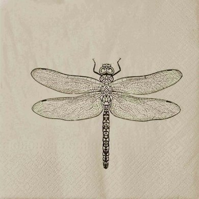 Салфетки Homla WE CARE DRAGONFLY 33 см | Коричневый / Принт 201019