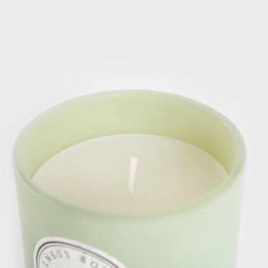 Ароматична свічка Homla WELLNESS Restore 160 г Зелений - 2 Ароматична свічка Homla WELLNESS Restore 160 г Зелений 240427 фото - 2