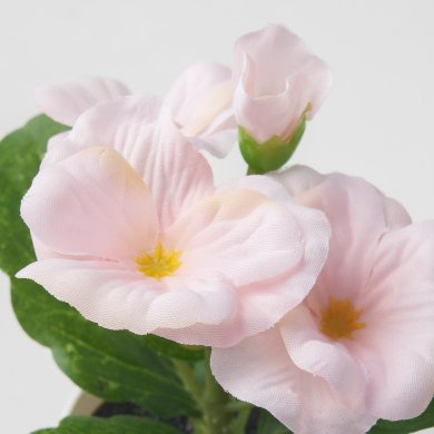 IKEA FEJKA (ИКЕА ФЕЙКА) 90571670 фото - 3