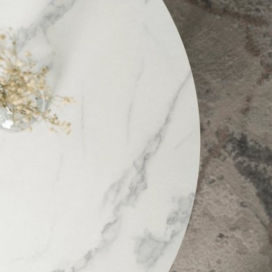 Журнальный стол Mebel Elit AGNES MAX Marmur Белый - 7 Журнальный стол Mebel Elit AGNES MAX Marmur Белый ME.MAXAGNES/BM/B/L фото - 7